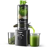 TUUMIIST Entsafter Slow Juicer mit 120 MM Breitem Einfüllschacht, Entsafter Gemüse und Obst Testsieger-Kompakter Saftpresse, Leicht zu Reinigen, BPA-frei, Rein Schwarz