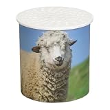 Animal Voice Box, Animal Sound Creator | Realistische umgekehrte Schafe | Lustiges akustisches Spielzeug mit realistischem umgekehrtem Klang | Stimmgerät für Kinder