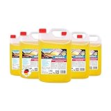 Wotan's 25L Scheibenreiniger | Scheibenwischwasser Sommer Citrusduft | streifenfrei – getestet | Premiumqualität aus Deutschland | polycarbonatverträglich und Fächerdüsengeeignet (5x5 Liter)