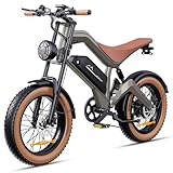 FREEJOYER E Bike Herren, 20 * 4.0' All-Terrain Fat Reifen Elektrofahrrad mit 250W 74NM Motor 48V 18.2Ah Akku, bis 25km/h bis zu 161km, NFC-Karte 7-Gang Getriebe Hydraulische Bremsen, M20