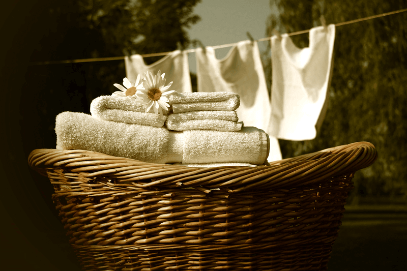 Foto: Sandra Cunningham | Dreamstime.com